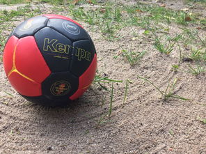 九游娱乐-奥预赛中国女足战胜 球员状态回暖明显，中国女足奥运会预选赛比分  第3张